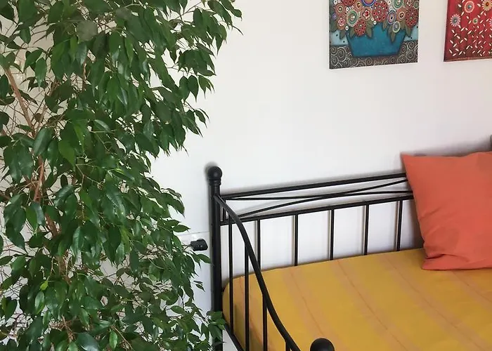 Summer Knights Apartment